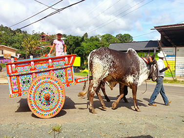 Costa Rica - KIIS - Study Abroad