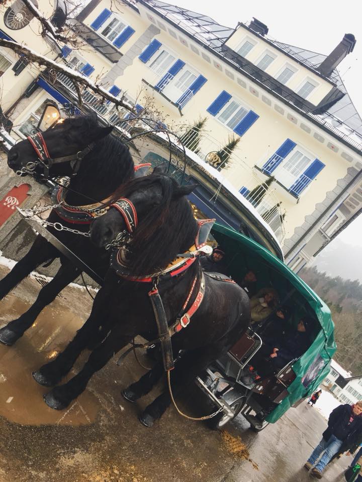Paris-Munich_HaleyAbbott_Horse-drawn Carriages