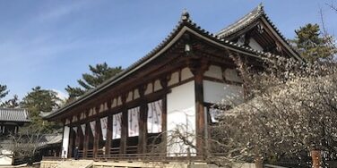 Horyuji-Temple-excursion-Japan